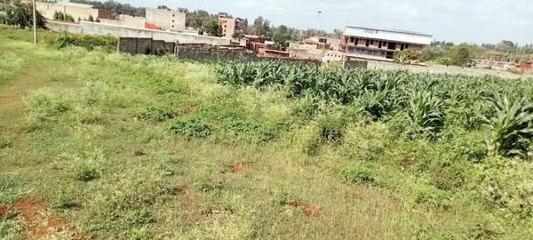 ¼ Acre Land for Sale in Ngomongo near Kirinyaga University, Kutus– Ideal for Hostels