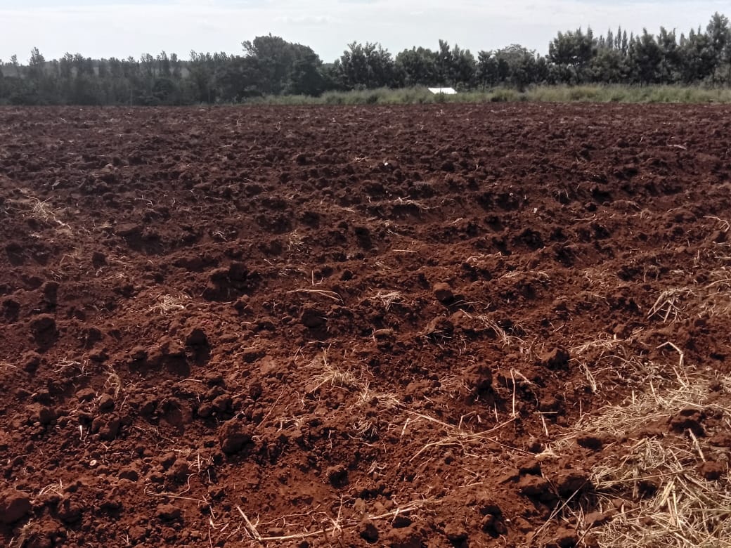 65-acres-of-fertile-land-for-sale-in-karwigi-embu
