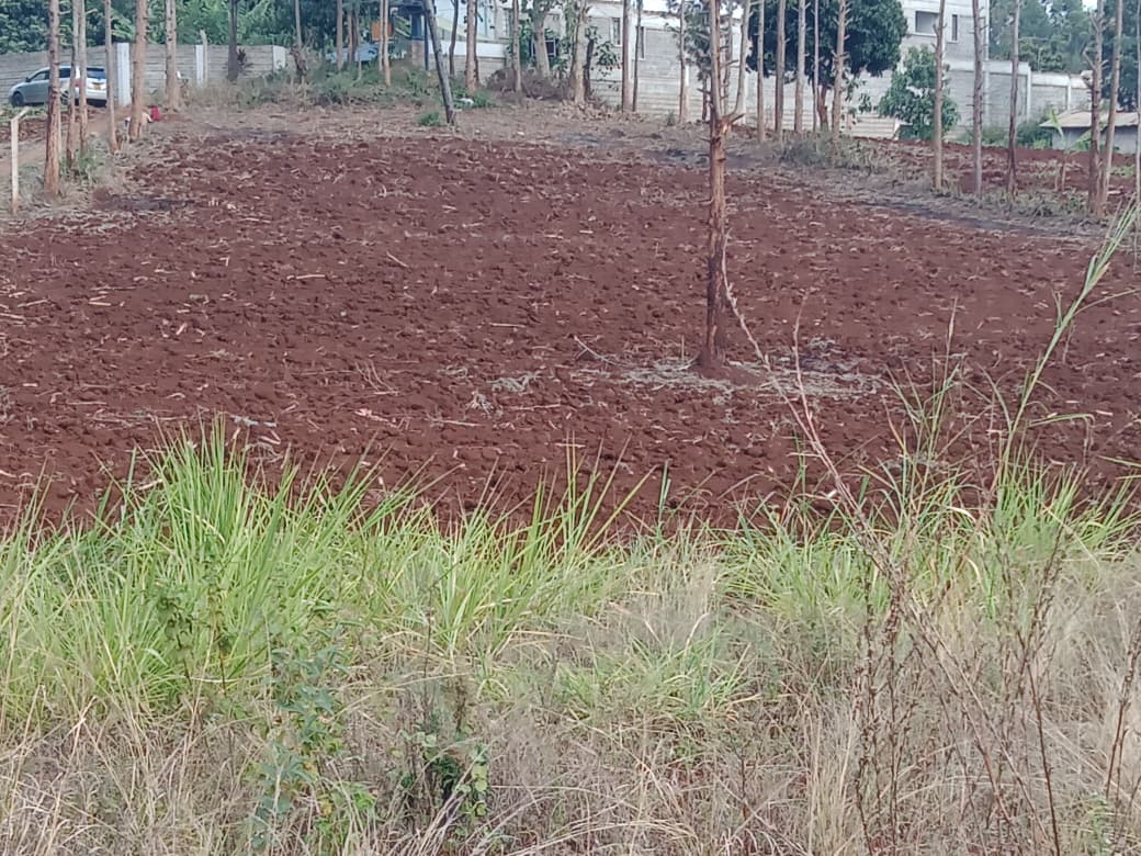 prime-land-for-sale-in-kutus-town-behind-raha-prem
