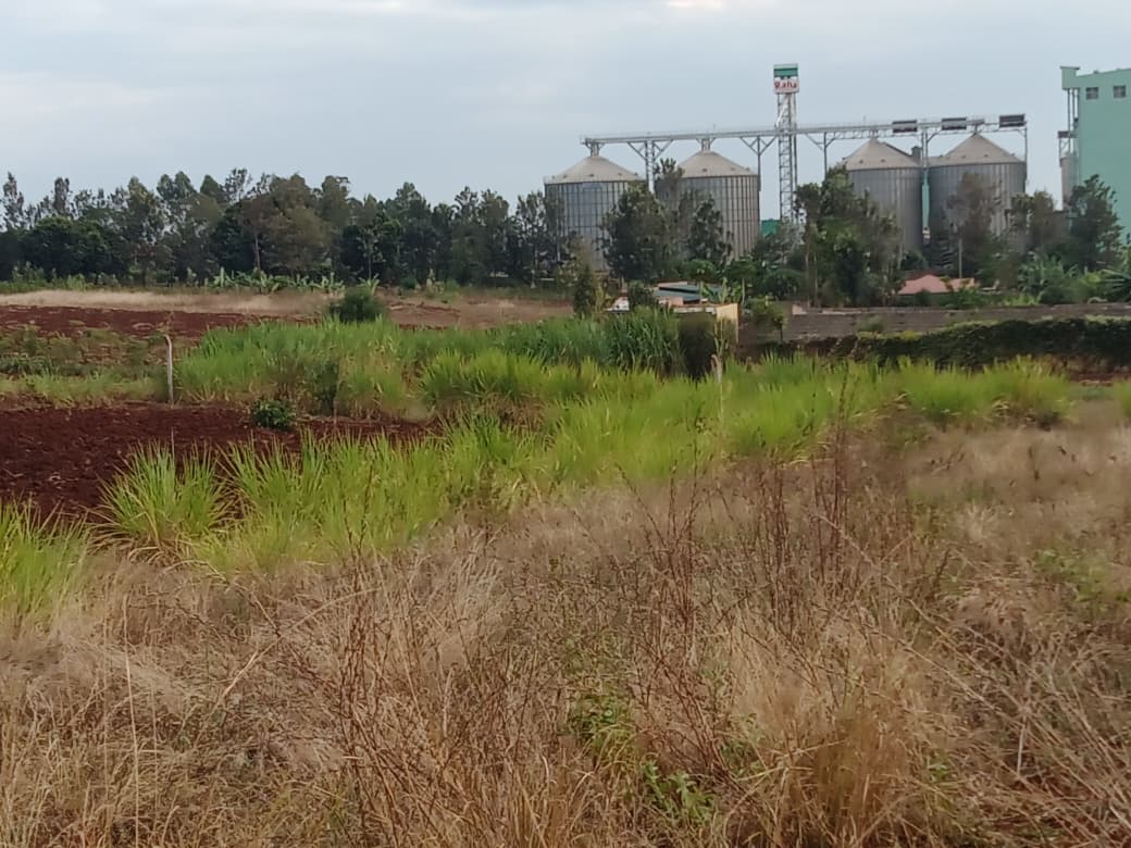 prime-land-for-sale-in-kutus-town-behind-raha-prem