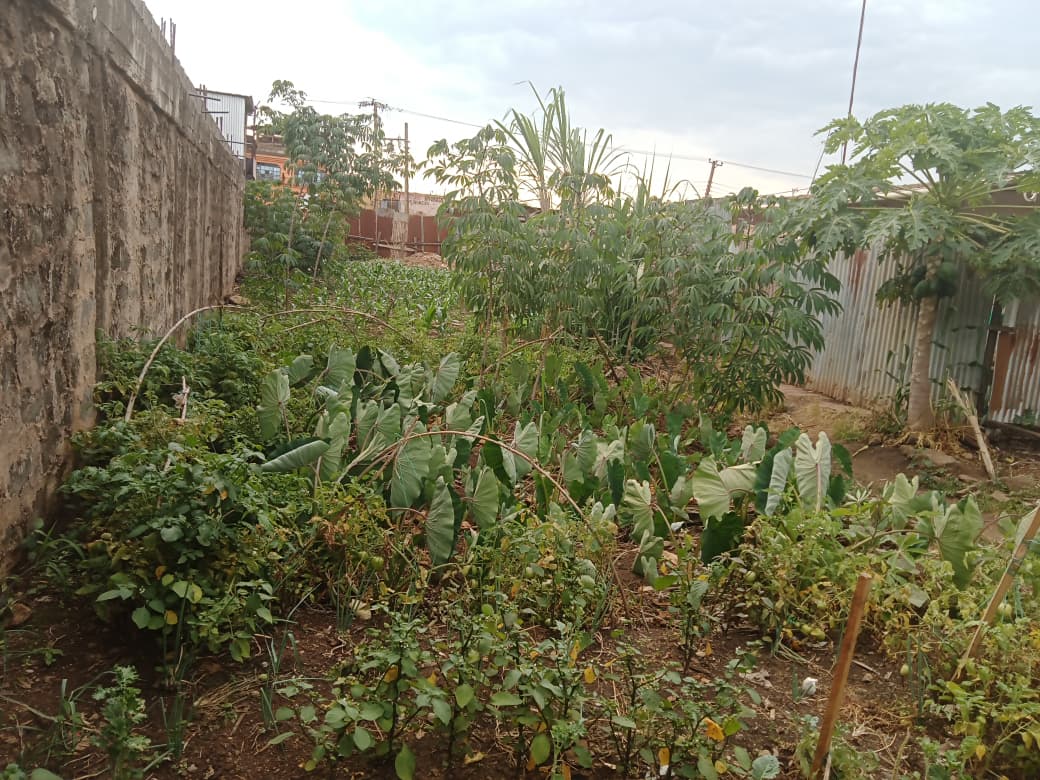 50100-prime-commercial-plot-for-sale-in-kutus-town