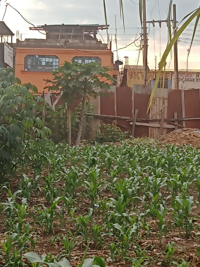 50100-prime-commercial-plot-for-sale-in-kutus-town